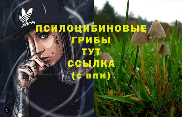 прущая мука Семёнов
