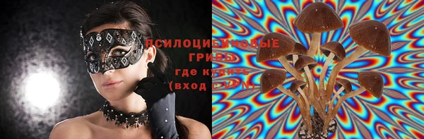 ешки Алзамай