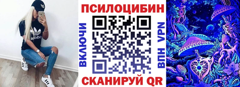 закладки мега ссылки Псилоцибиновые грибы прущие грибы Ветлуга